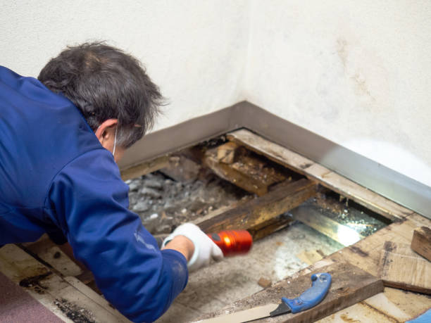 Water Damage Restoration in Ponce Inlet, FL