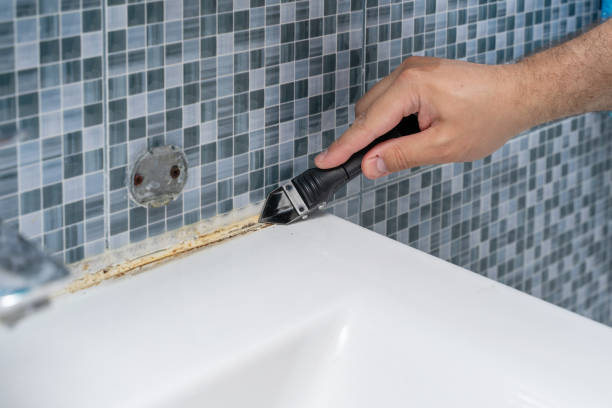 Best Professional Mold Removal  in Ponce Inlet, FL